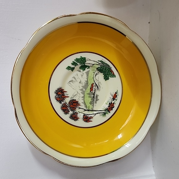 Royal Grafton Bone China Teacup and Saucer, collectible excellent condition - Picture 3 of 8